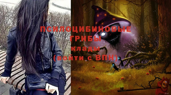 прущие грибы Артём