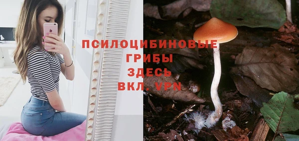 ПСИЛОЦИБИНОВЫЕ ГРИБЫ Магадан
