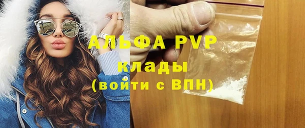 Альфа ПВП Новозыбков