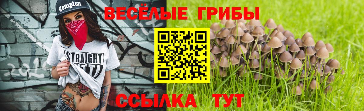 Псилоцибиновые грибы прущие грибы Архангельск